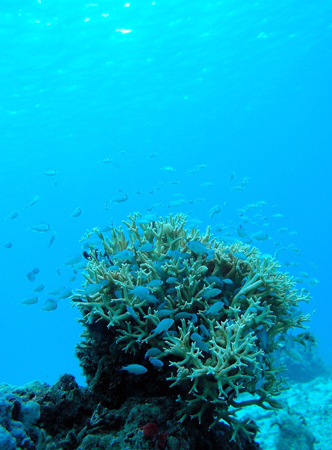 b0062363_228288.jpg