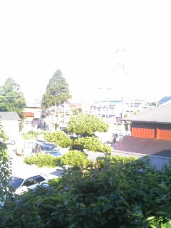 a0057868_825834.jpg