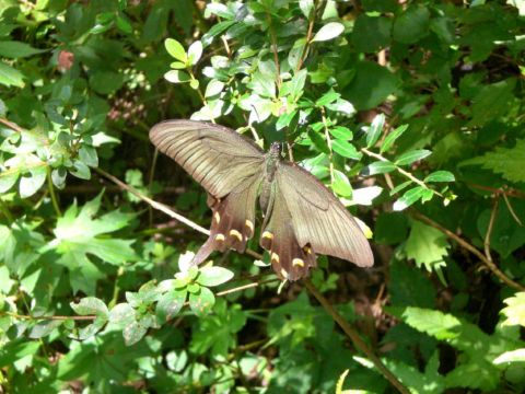 c0042869_1831273.jpg