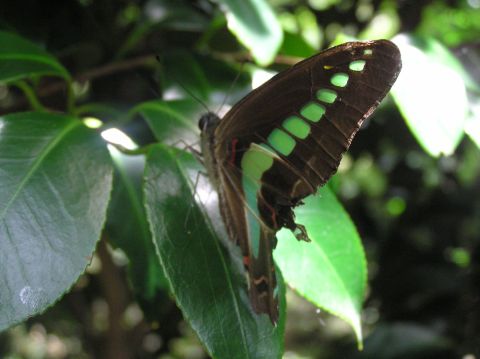 c0042869_184878.jpg