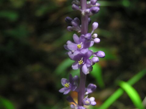 c0042869_1872896.jpg