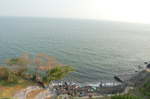 d0097171_16392521.jpg