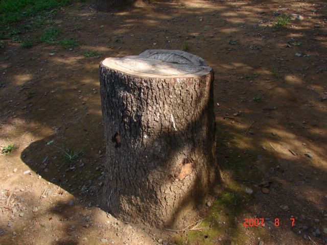f0104277_9274631.jpg