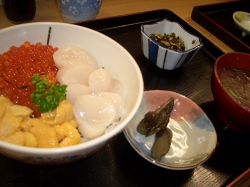 f0118282_16255514.jpg