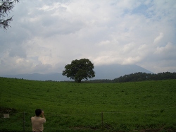 f0118282_16473482.jpg