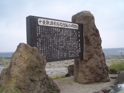 f0118282_2032643.jpg