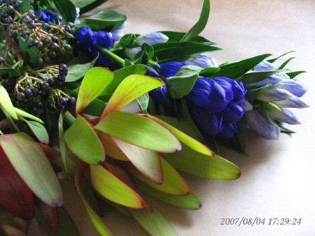 f0120483_2202885.jpg