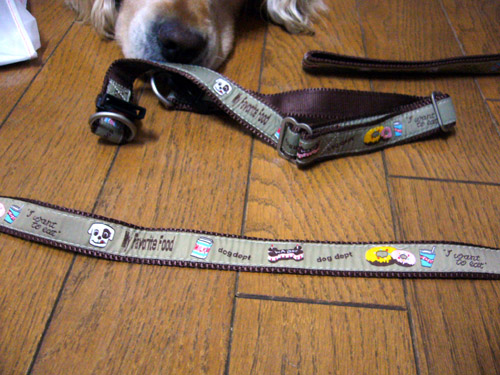 c0085188_22293575.jpg