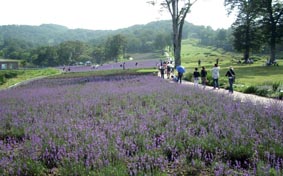 f0022292_2310286.jpg