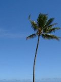 e0010293_12121746.jpg
