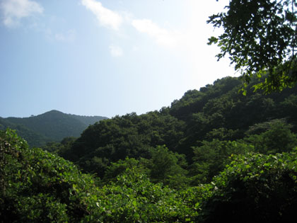 b0097200_16354786.jpg