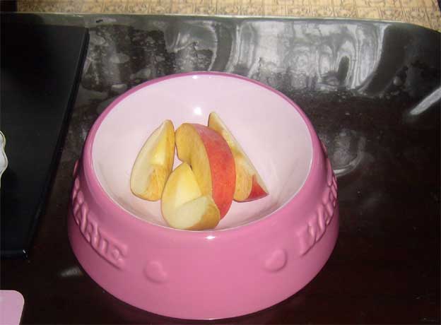 e0018604_14135657.jpg