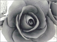 e0099905_21462981.jpg