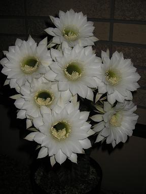f0008510_14424328.jpg