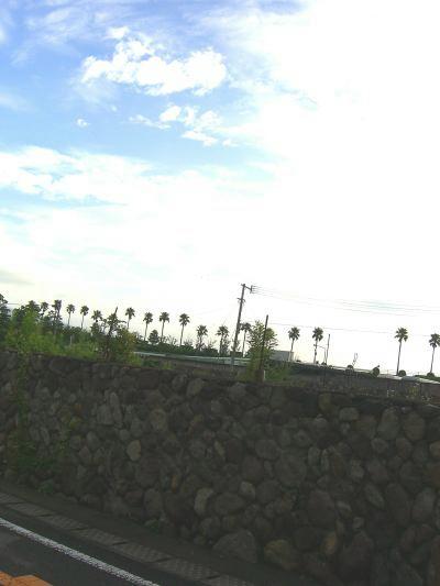 c0023323_652889.jpg