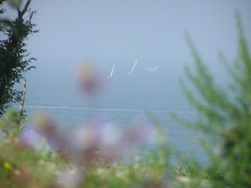 f0128723_12132282.jpg
