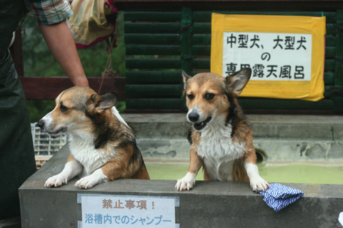 e0071225_127532.jpg