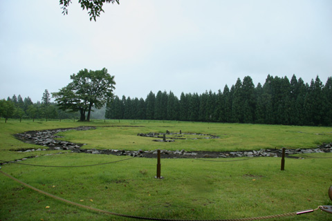 e0071225_8431563.jpg