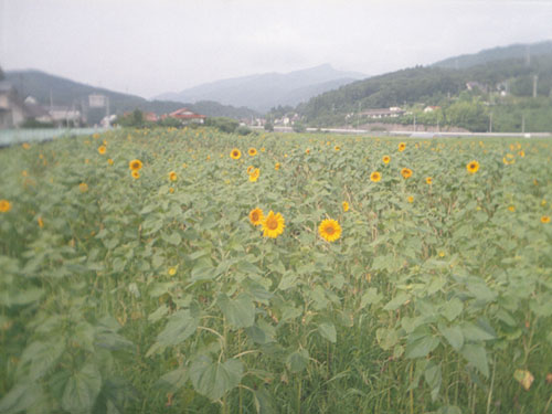 d0036630_18495480.jpg