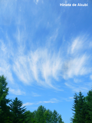 f0006732_01355.jpg
