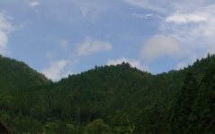 c0116848_1659301.jpg