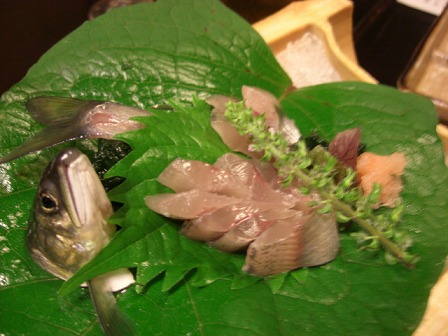 f0009451_9233552.jpg