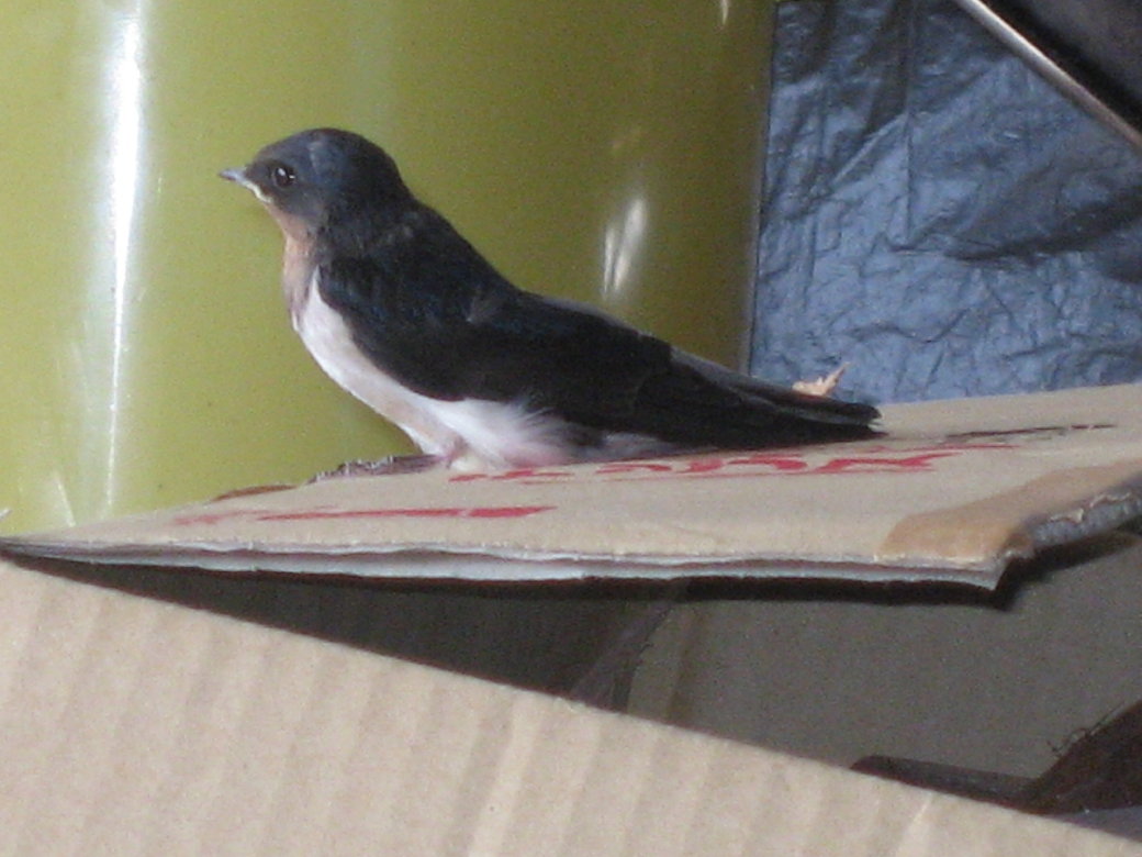 f0089352_21523378.jpg