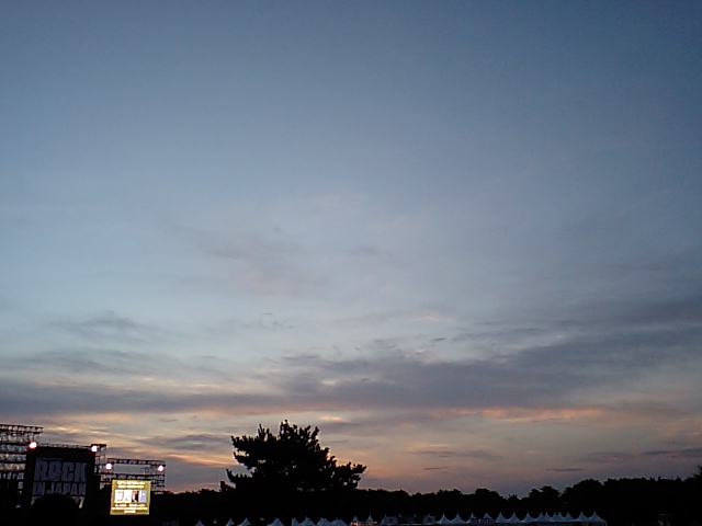 e0074253_211297.jpg
