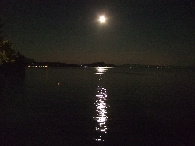 e0104154_1735177.jpg