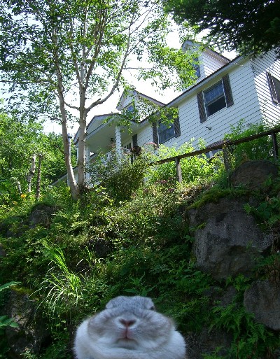 f0104057_19463430.jpg