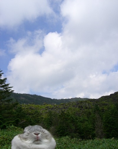 f0104057_2045488.jpg