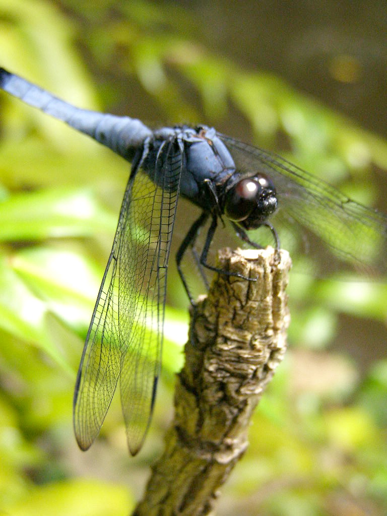 e0064158_1244442.jpg