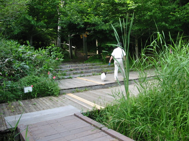 f0122259_205416.jpg