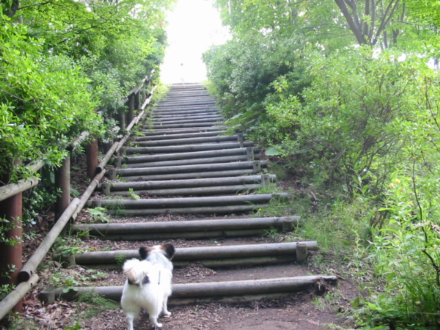 f0122259_2071497.jpg