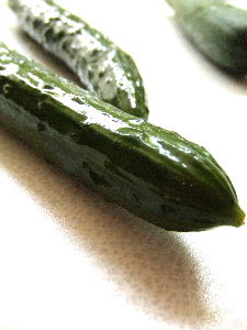 e0067563_1145954.jpg
