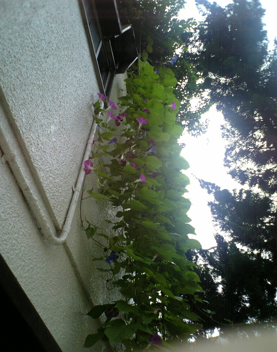 d0004574_2249207.jpg