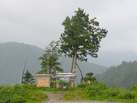 c0107075_13244789.jpg