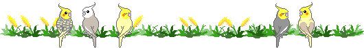 e0027078_22373325.gif