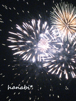 a0062983_14535124.gif