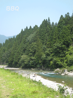 a0062983_147465.gif