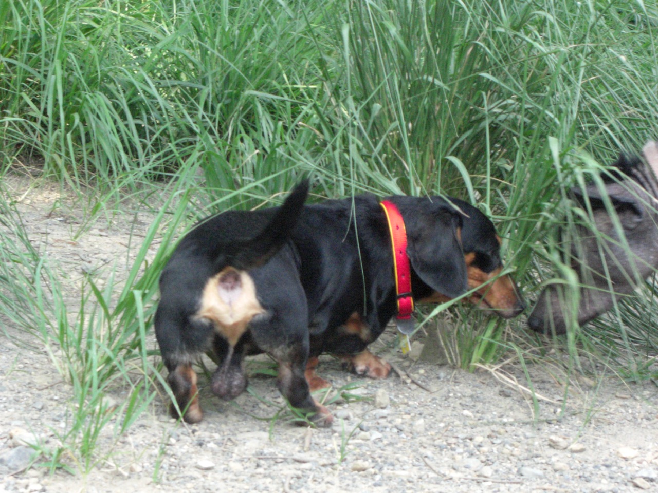 c0119200_202250.jpg