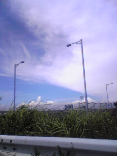 e0087901_1611650.jpg