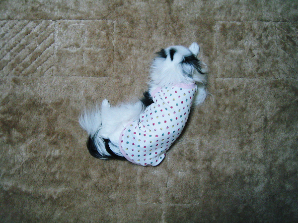 d0079302_22281490.jpg
