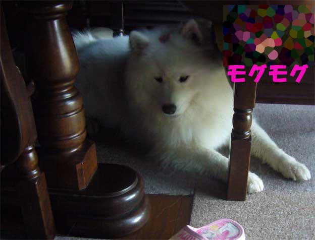 e0018604_1543251.jpg