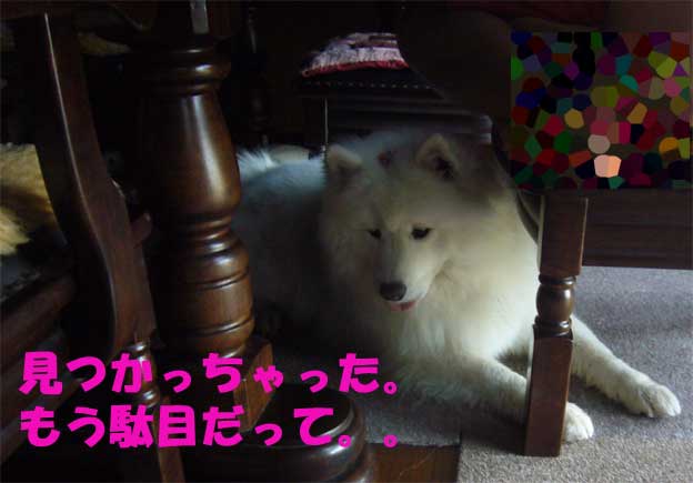 e0018604_15433682.jpg