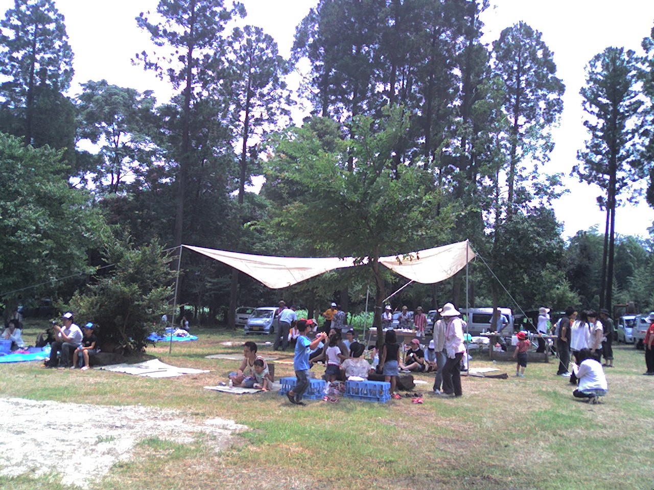 a0054905_5481449.jpg