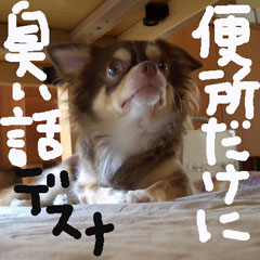 c0036617_1423346.jpg