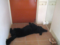 c0012120_151355.jpg