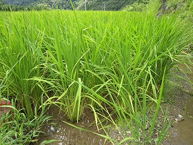 e0002820_22182840.jpg