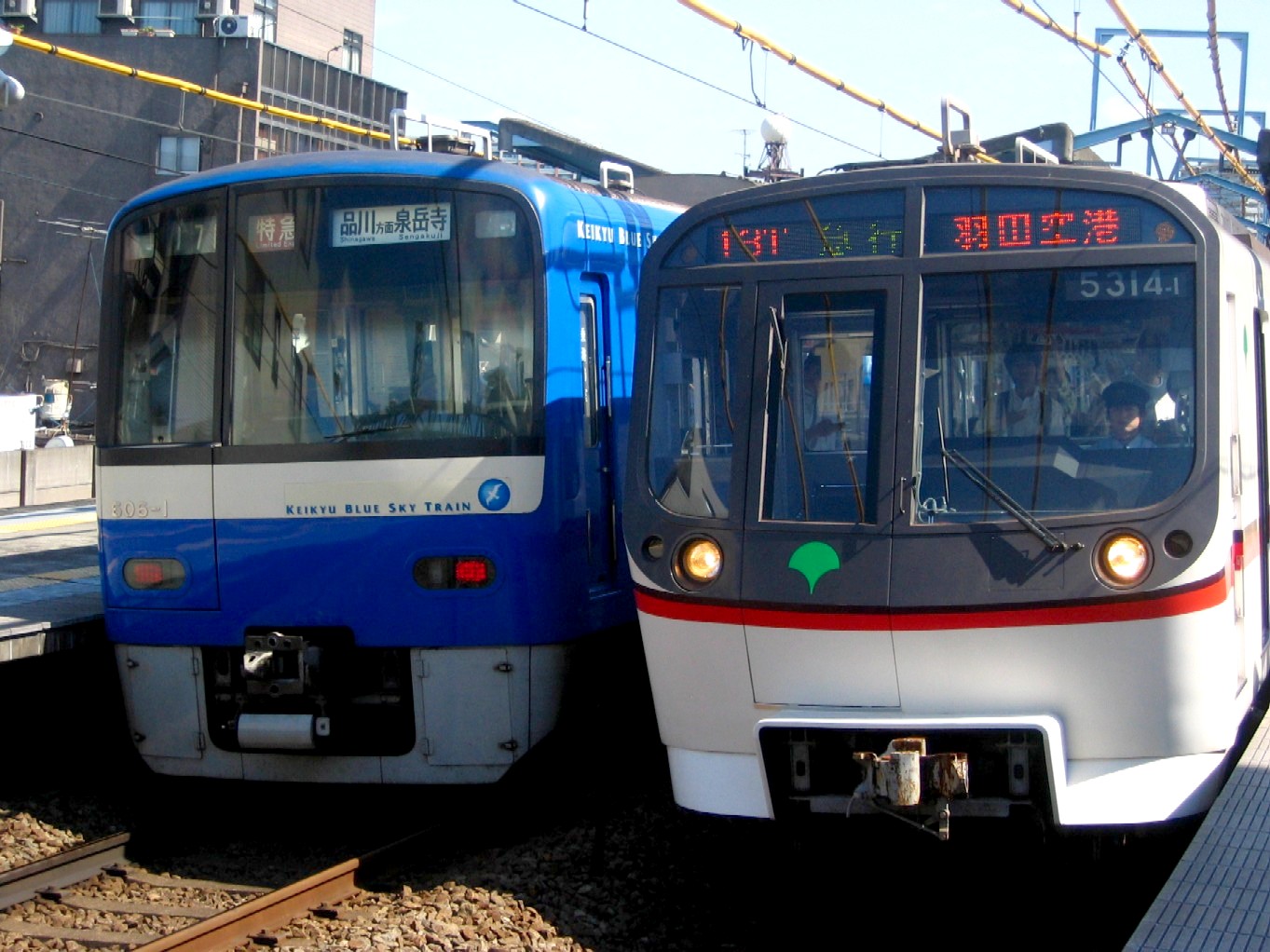 d0044222_2339319.jpg